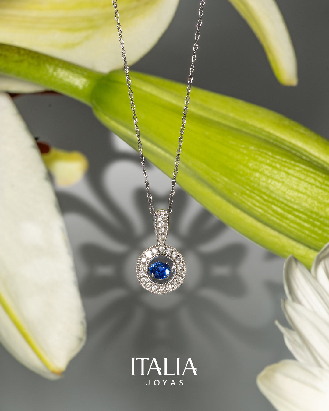 Dije Zafiro con Círculo de Diamantes – Oro Blanco 14k